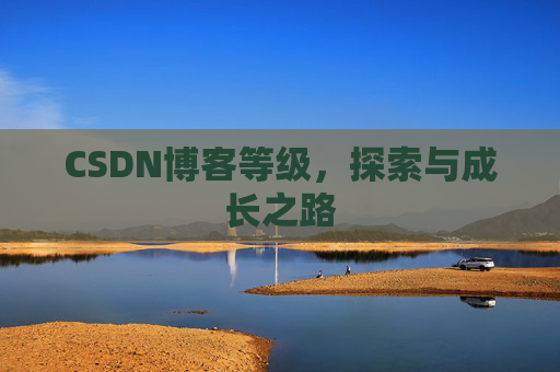 CSDN博客等级,探索与成长之路